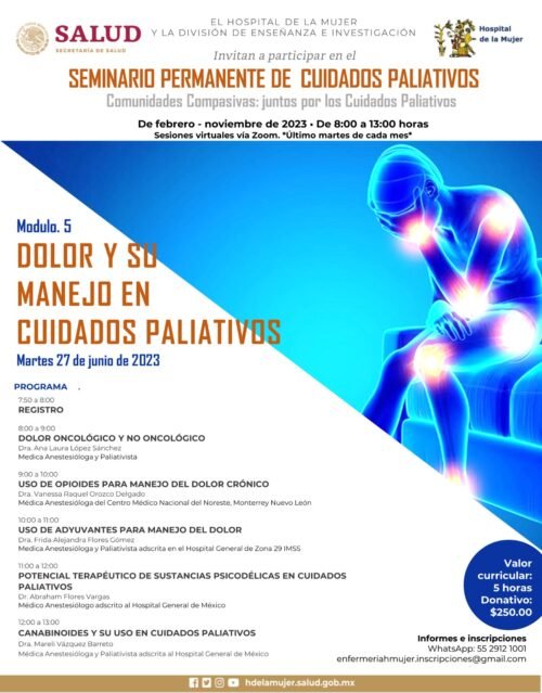 SEMINARIO PERMANENTE DE CUIDADOS PALIATIVOS