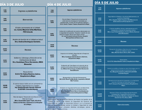 "Calidad y Seguridad al paciente en los Servicios de Salud" - Image 3